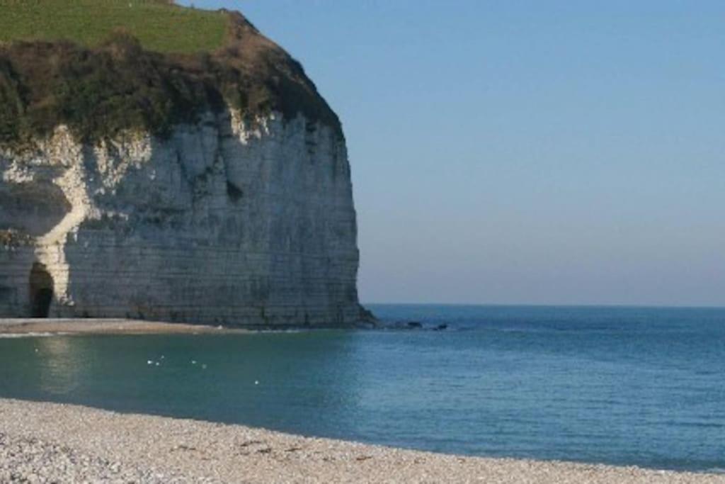 Bord De Mer : Charmante Maison De Pecheur Yport Bagian luar foto